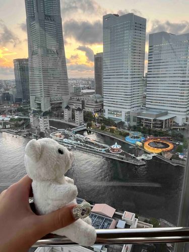 かんらんしゃに のったよ🎡 すてきな けしき✨