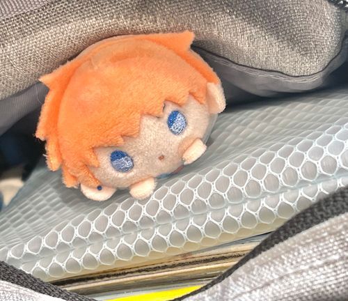 こっそり