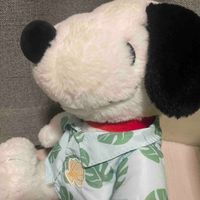 すぬぴ