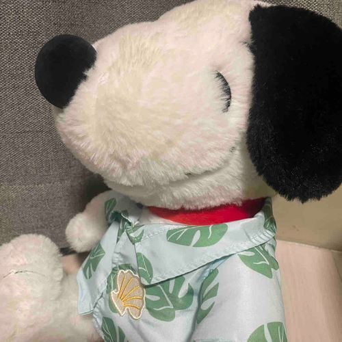 すぬぴだよ！
投稿はほとんどしません(･¨ ●)
よろしくね！