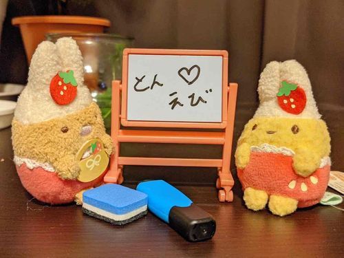 🍓とんえびです…！ぼくたちはニコイチでとってもなかよしだよ…！ちっちゃいから割とお出かけ多めかも…！早くいちご食べたいね！うん！