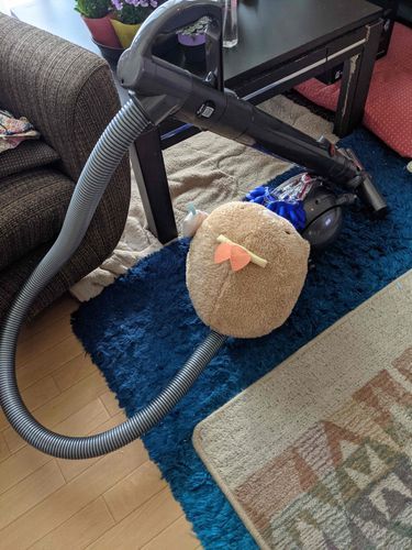 かつはえらい子なのでお掃除するです！
（とんかつ）