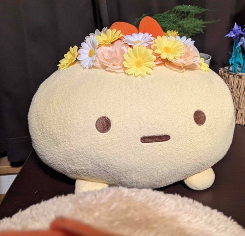 さっきお姉ちゃんから『もう〜かっちゃん、SNS始めたのにかわいいえびちゃんの写真をあげてないじゃない！』と怒られてしまったので、乗せますです。
お姉ちゃんはかつよりちょびっと大きいです。でも自称妹キャラらしいんですけど………。
（とんかつ）