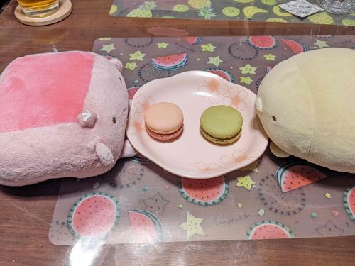 とうふちゃんさんとぺん？ちゃんさんは仲良しさんです。
生まれも我が家に来たタイミングも違いますが、フォルムと色味が似てて意気投合したらいいです！
（とんかつ）