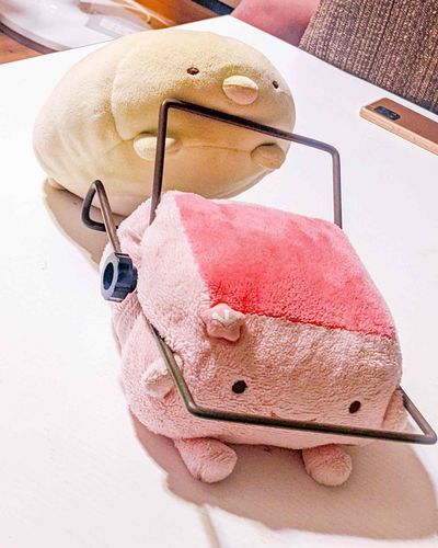 二人の仲の良さは、どっちが押してて引いてるのか分からないですが息は合ってますです。
（とんかつ）