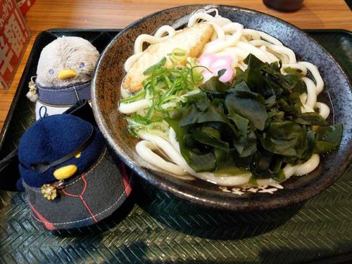 懐かしき日の💮うどんだな〜♪