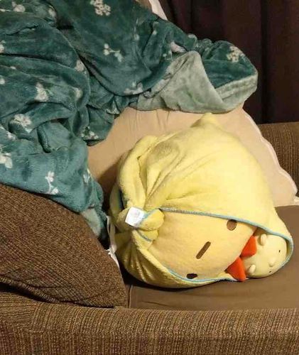 すっかり寒いね……、うん