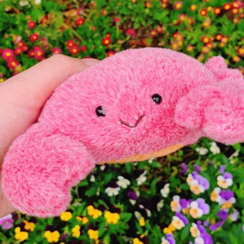 はじめて登録しました、ともまる、です！