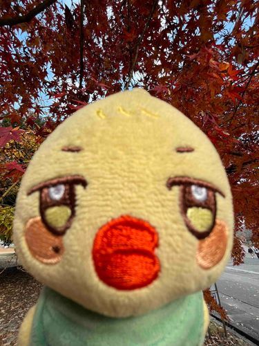 ンン。
