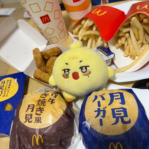 ﾁｭｷﾐ。