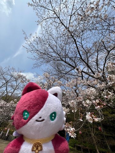 んふー。