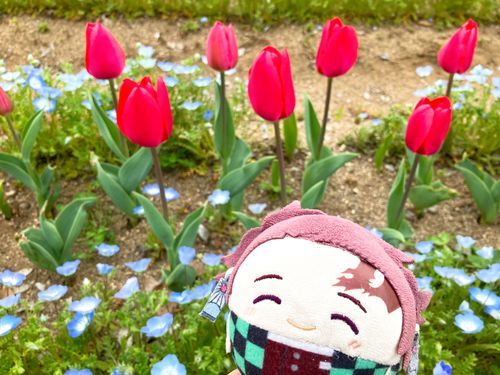 (っ´◜◡◝`c)🌷
