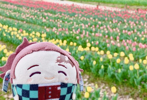 (っ´◜◡◝`c)
はる　ですね🌷✨