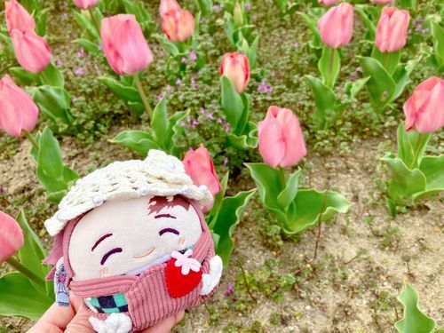 🌷かわいい💕✨