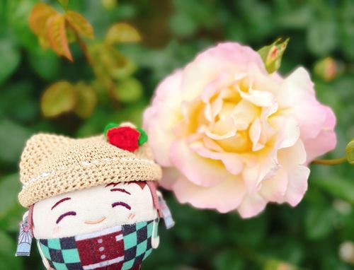 花びらの周りが少しピンクでかわいい🌹✨