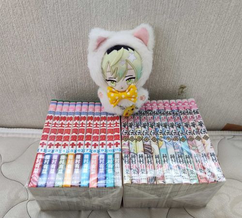 せいしゅん が とどいたよ 