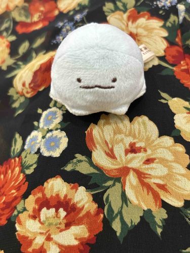 やせいのとかげ（？）がとびだしてきた
