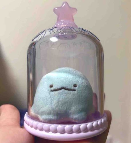 アクアリウム？