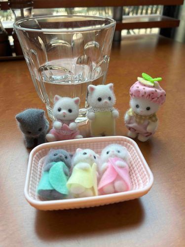 ぱけぱけねこ