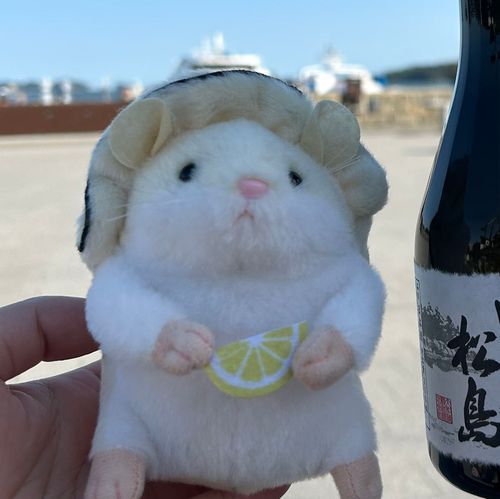 松島出身でち