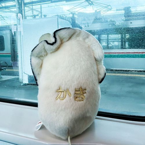 出発でち
なんでちかこの暑さは