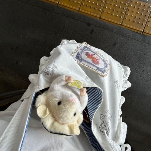 今日はふりふりのかばんに入れられたでち
映画に行くでち