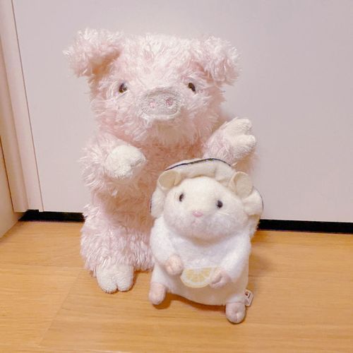 ともだちのぶたさんでち