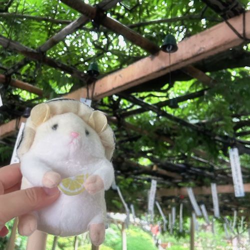 ひぐらしの鳴き声がするでち
夏のあにめが見たくなってきたでちね