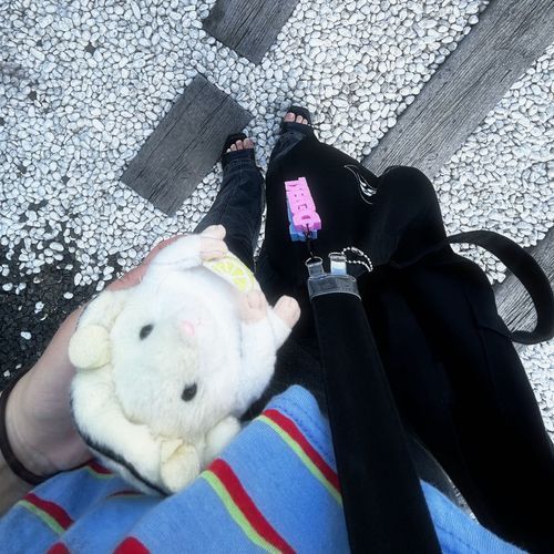 かいぬしに連れられ
おでかけでち