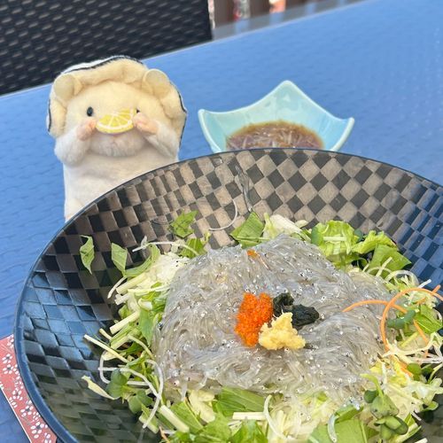 江ノ島で生しらす丼食べたでち
沖漬けも添えるでち
やっぱり鮮度の高い生のお魚は最高でち！
きらきらのしらす、また食べたいでちね