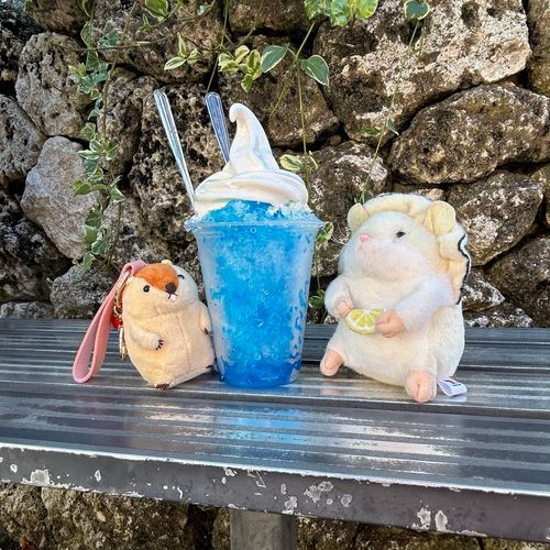 これも江ノ島でち
暑かったでちから、かき氷ソフトをセレクトしたでち
ハム生でいちばん美味しいかき氷でちた
後輩のまーもっとさん(おでかけの姿)も一緒でちよ