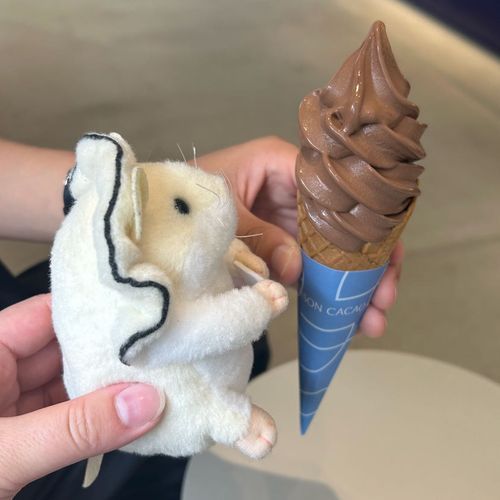 MAISON CACAOさんのソフトクリームを食べたでち
チョコレートアイスの概念が変わった一品でちた
もはや生チョコでちね
冬だったらチョコ買って帰りたかったでち