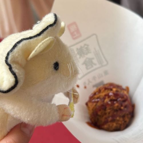 鎌倉食べ歩きでち
とってもジューシーなメンチカツでち
他にもたくさん食べまちた
食べ歩き動画はインスタ( shio_mogura )に載せてるでち
