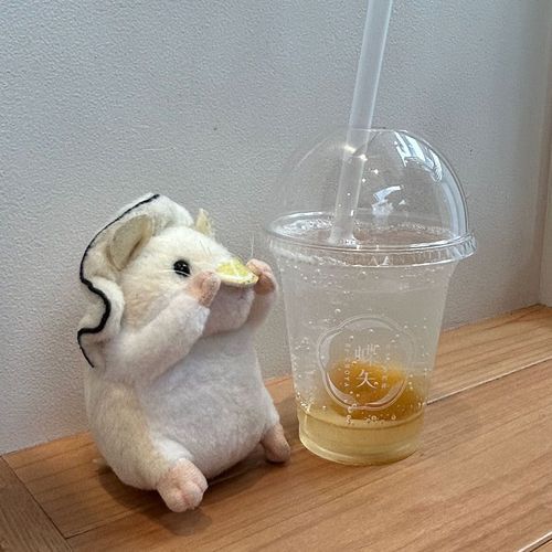 蝶矢さんに行ってきたでち
梅サイダーをいただきまちた
さすが梅の専門店でちね
さわやかでフルーティーな甘みが夏にぴったりでち