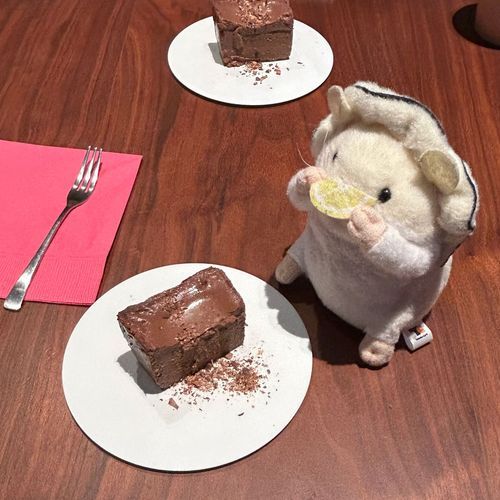 鎌倉で最後にいただいたのはCHOCOLATE BANKさんの生ガトーショコラでち
MAISON CACAOさんの姉妹店でち
これはもうテリーヌでちね
カカオビネガーソーダをお土産に買って帰りまちた
香りがカカオなのに、味はフルーティーでシャンパンのようなあじわいでち
酸味が苦手じゃなければおすすめしたい一品でち！
