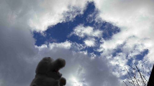 ご主人！あの雲の隙間お馬さん🐴ぽいね！