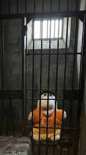 【ホッ】
「もしもホーリーが捕まったら」
ホーリーは無罪なんですケド…！！！‎🤍🐊😭
出してー！！！💦