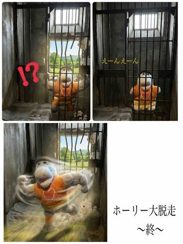 【脱走】ホーリーは悪くないもん！！！！！！‎🤍🐊😫