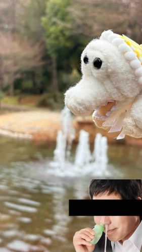 【タップ推奨】
ハナノアホーリー‎🤍🐊🤧
みんなー！いんふるえんざっていうのが流行ってるんだって！気をつけよね！💕︎