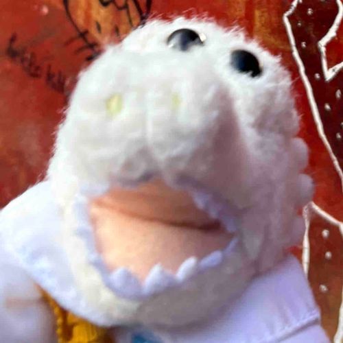 ホッ！ホーリーアップ写真！
今日はご主人とせんきょ？っていうのに行ったよ！ホーリーも選挙権ほしいー！！！‎🤍🐊