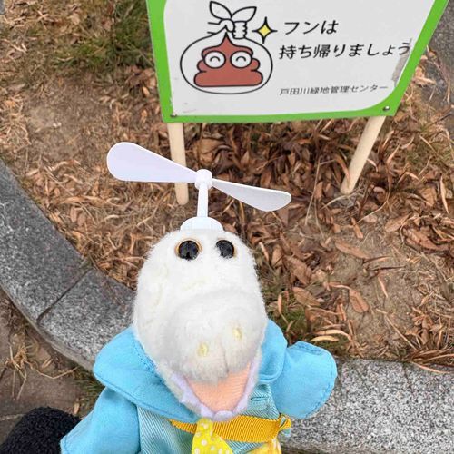 ホッ！フンフン💩はおうちに持ち帰ります！ホーリーはトイレでするけどネッ!!ホッ‎🤍🐊