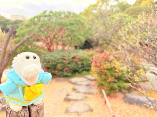 ホッ‎🤍🐊和（ワ）って良いね💕︎あったかくなったらお花見れる〜？👀