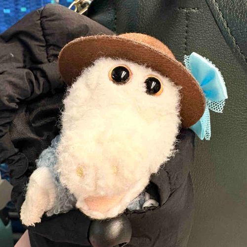 ホッ‎🤍
新幹線だって！速いね〜！