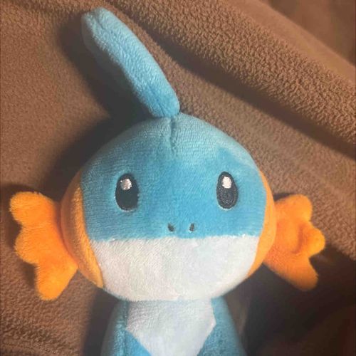 ミズゴロウ
ルビサファ