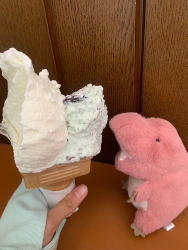
拗ねててもアイスは食べたいとまとくん

昨日はおでかけしないって言ってたけど、
アイスには勝てなかったみたい🤤

　　　　　　　　　　　　　　　byぬし