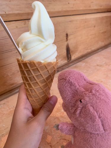このそふとくりーむ、
すーんごいおいしかったの！
