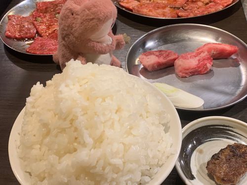 きょうはやきにく ♪
やまもりごはんっ！