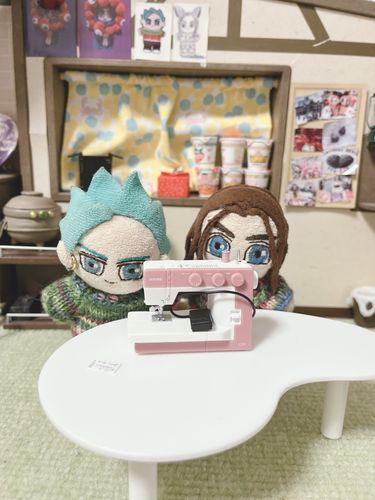新しいミシンを買いました🪡
これでカタタタタ…としていく