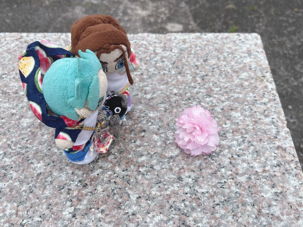 八重桜🌸