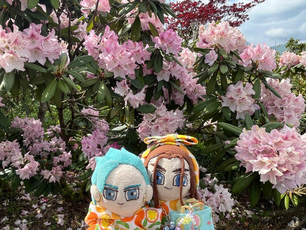 🌸